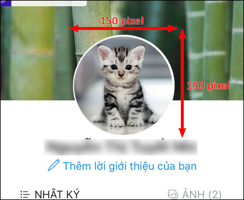 Kích thước ảnh bìa, avatar Zalo chuẩn nhất
